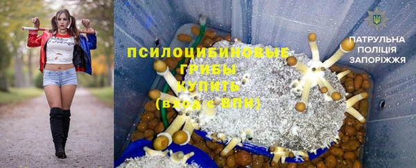 дурь Карпинск