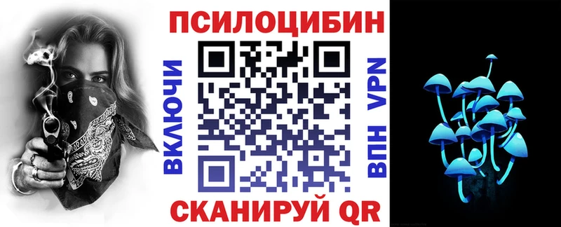 Купить где  Керчь  Галлюциногенные грибы MAGIC MUSHROOMS 
